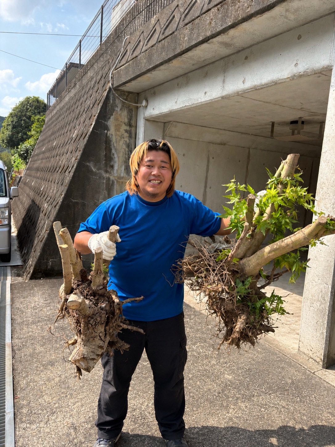 大村市での草刈り・伐採